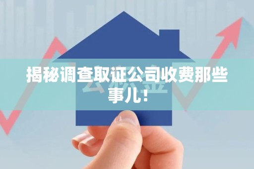 丰泽揭秘调查取证公司收费那些事儿！