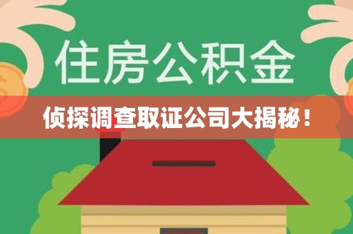 丰泽侦探调查取证公司大揭秘！