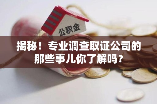 丰泽揭秘！专业调查取证公司的那些事儿你了解吗？