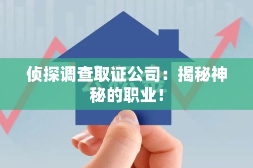 丰泽侦探调查取证公司：揭秘神秘的职业！