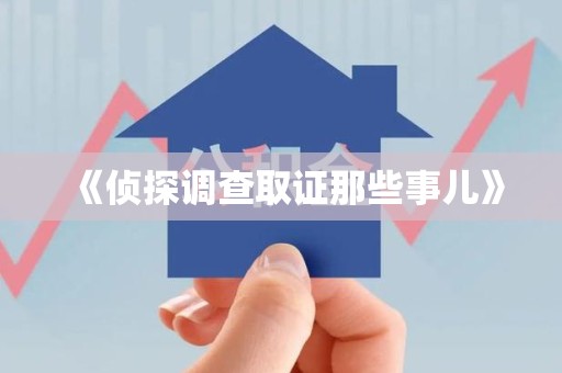 丰泽《侦探调查取证那些事儿》