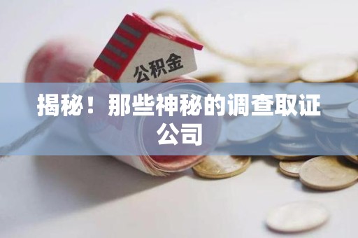 丰泽揭秘！那些神秘的调查取证公司