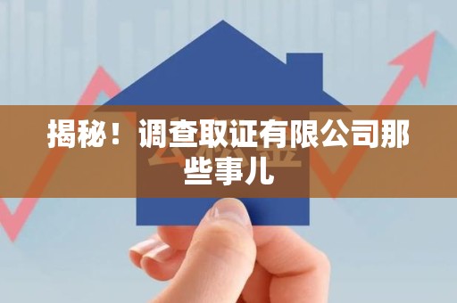 丰泽揭秘！调查取证有限公司那些事儿