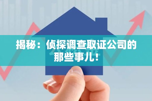 丰泽揭秘：侦探调查取证公司的那些事儿！