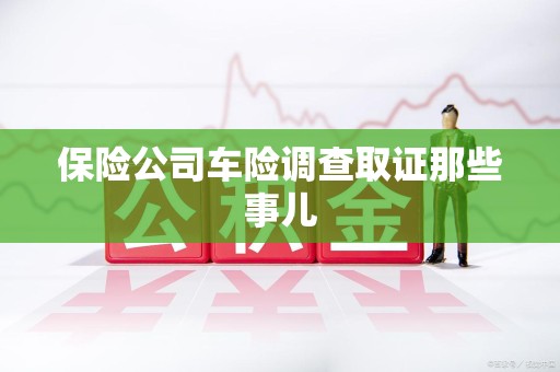 丰泽保险公司车险调查取证那些事儿
