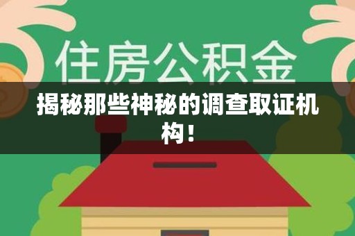 丰泽揭秘那些神秘的调查取证机构！