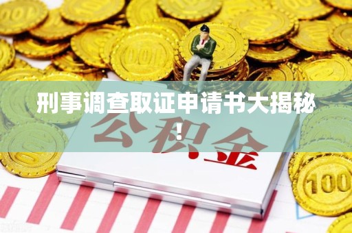 丰泽刑事调查取证申请书大揭秘！