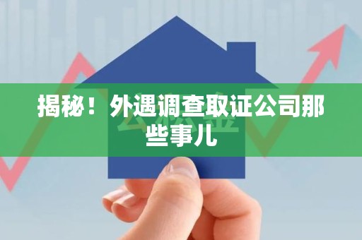 丰泽揭秘！外遇调查取证公司那些事儿