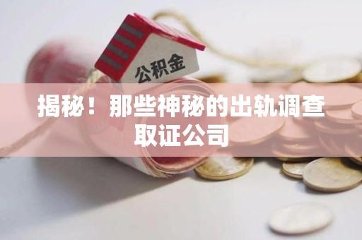 丰泽揭秘！那些神秘的出轨调查取证公司