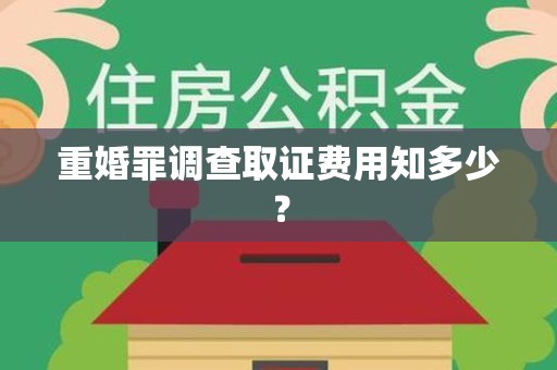 丰泽重婚罪调查取证费用知多少？