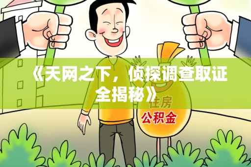丰泽《天网之下，侦探调查取证全揭秘》