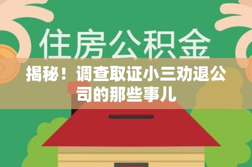 丰泽揭秘！调查取证小三劝退公司的那些事儿