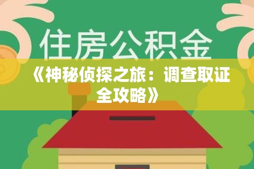 丰泽《神秘侦探之旅：调查取证全攻略》