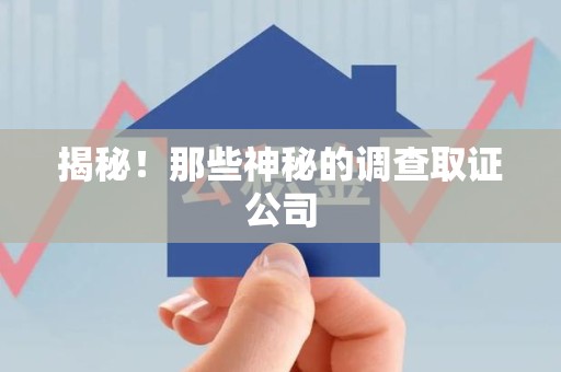 丰泽揭秘！那些神秘的调查取证公司
