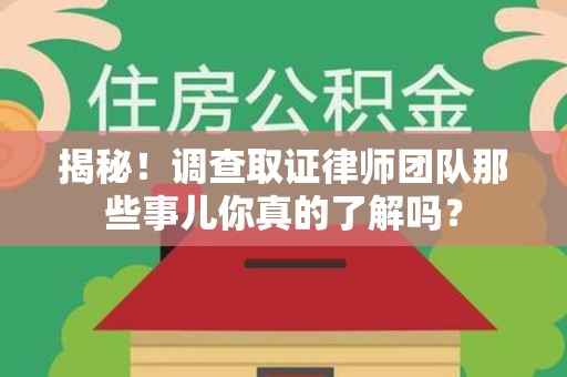 丰泽揭秘！调查取证律师团队那些事儿你真的了解吗？