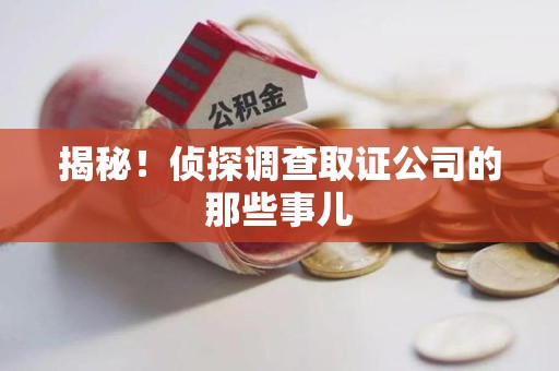 丰泽揭秘！侦探调查取证公司的那些事儿