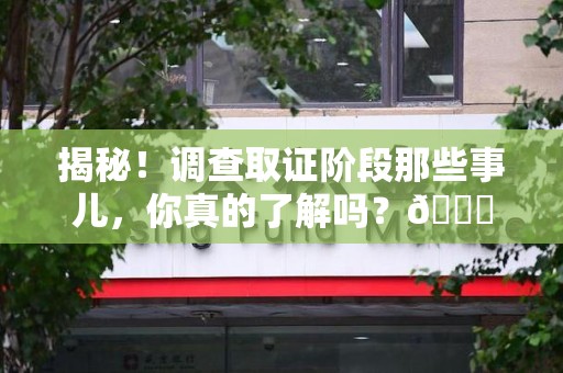 丰泽揭秘！调查取证阶段那些事儿，你真的了解吗？😎