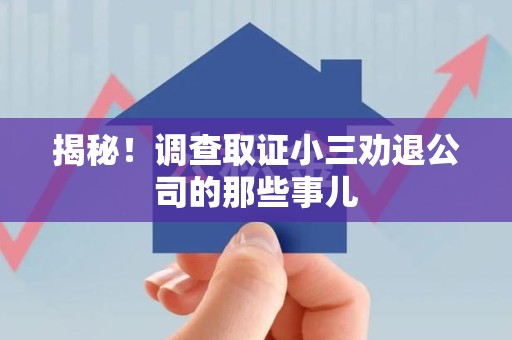 丰泽揭秘！调查取证小三劝退公司的那些事儿