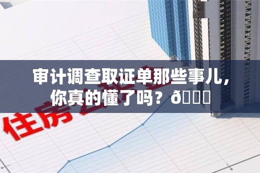 丰泽审计调查取证单那些事儿，你真的懂了吗？😎