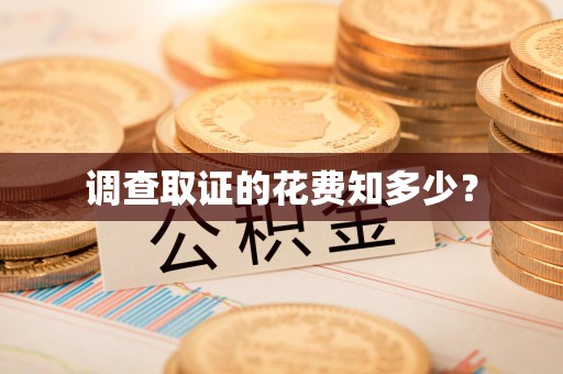丰泽调查取证的花费知多少？