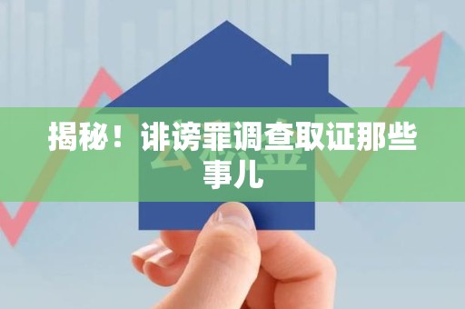 丰泽揭秘！诽谤罪调查取证那些事儿